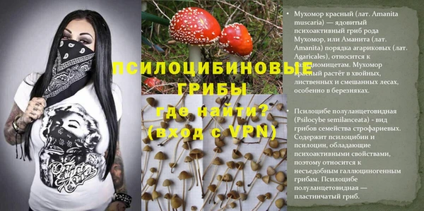 ешки Абдулино