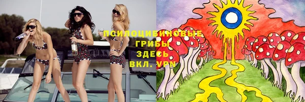 дурь Абаза