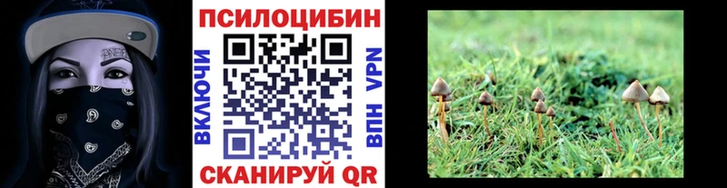 KRAKEN онион купить Сорск Псилоцибиновые грибы ЛСД